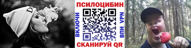 Псилоцибиновые грибы мухоморы  где можно купить   Бакал 
