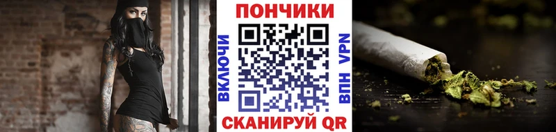 ссылка на мегу как войти  Бакал  Шишки марихуана планчик 